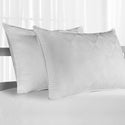 Live Comfortably Platinum Pillow, 2-pack