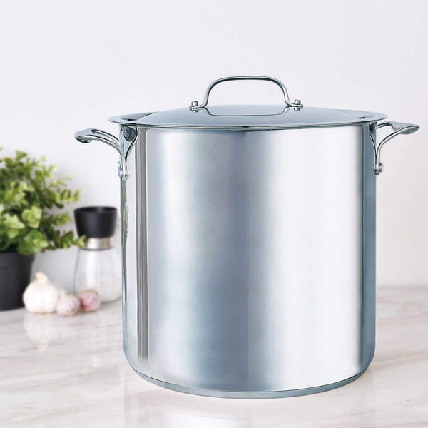 Bergner 16 Quart Stainless Steel Stock Pot with Lid