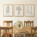 Sepia Besler Botanicals Framed Wall Art Print Set - 11x14